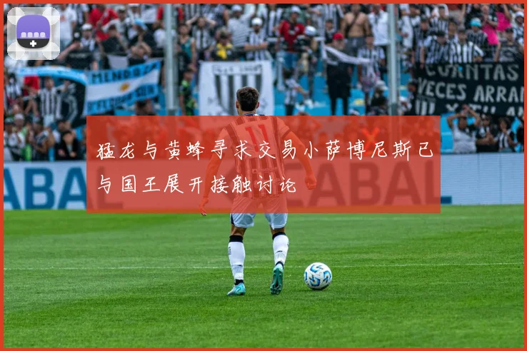 猛龙与黄蜂寻求交易小萨博尼斯已与国王展开接触讨论