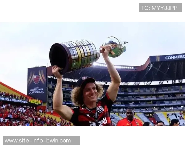 帕尔梅拉斯逆转晋级解放者杯决赛再创辉煌争夺第4冠